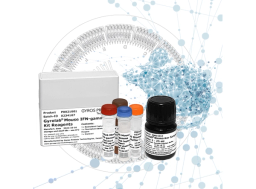 Gyrolab® Mouse IFN-gamma Kit - Gyros Protein Technologies - Life Sciences