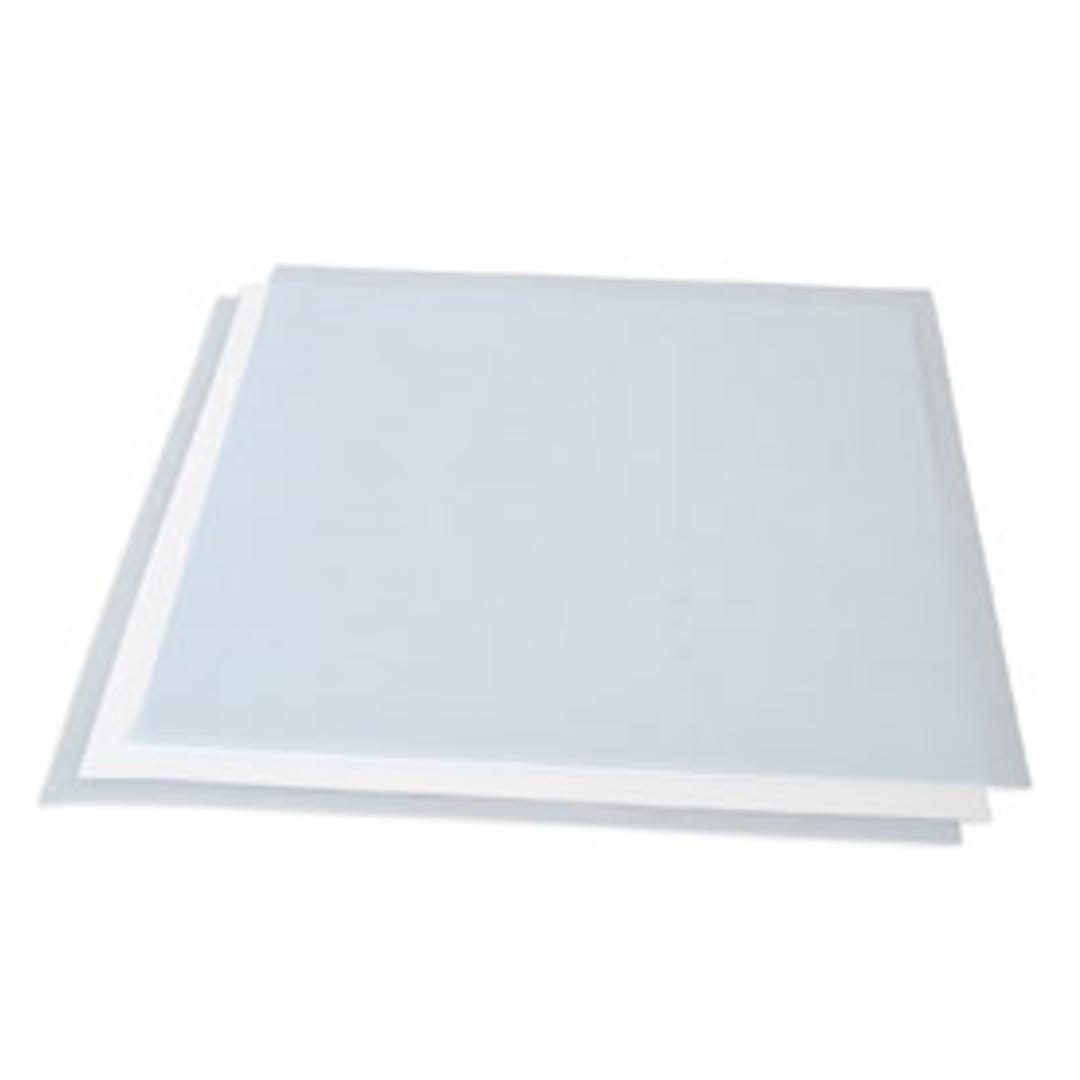 Nitrocellulose Membrane, Precut, 0.2 µm, 26.5 x 28 cm - Bio-Rad - Life Sciences