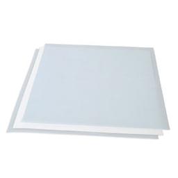 Nitrocellulose Membrane, Precut, 0.2 µm, 26.5 x 28 cm - Bio-Rad - Life Sciences