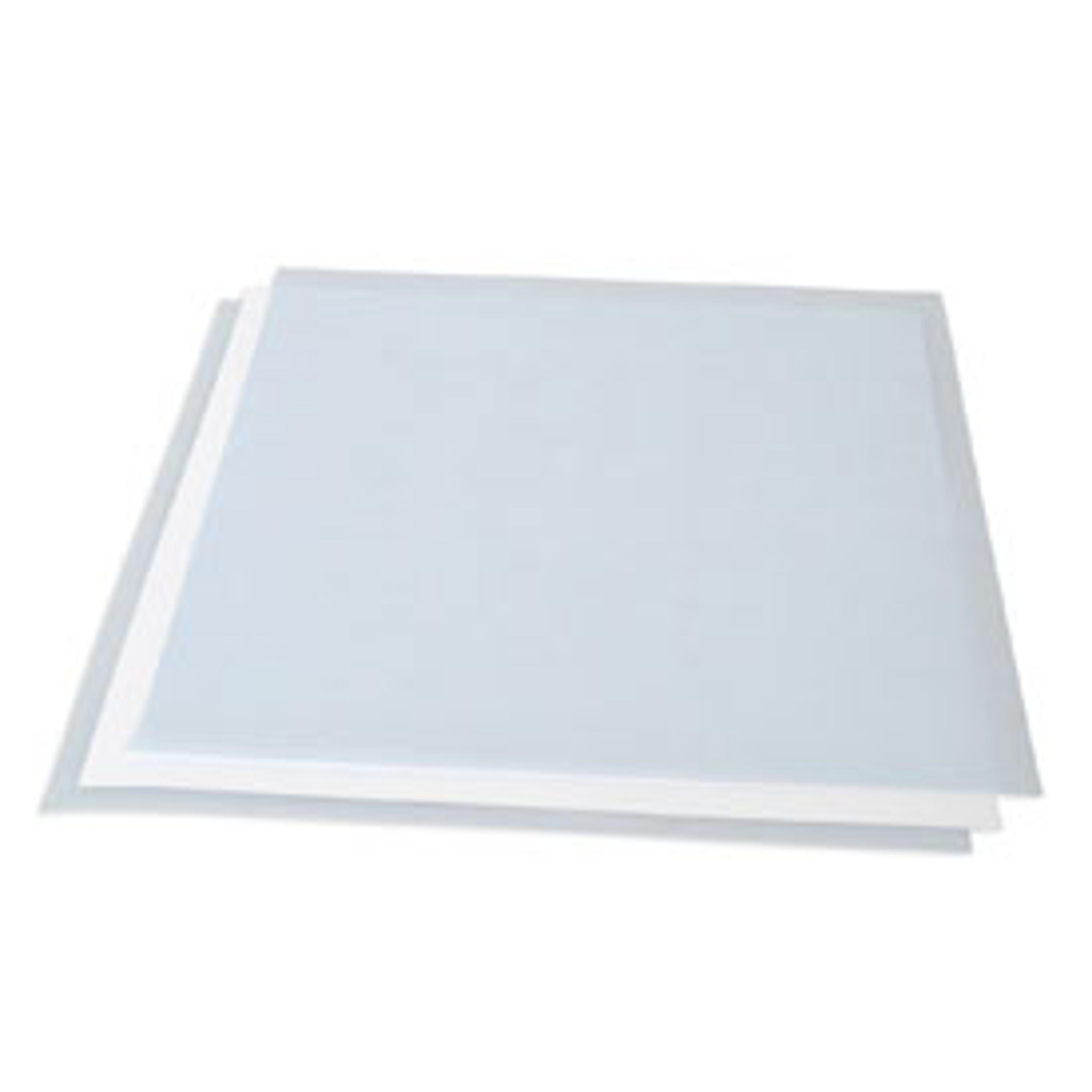 Nitrocellulose Membrane, Precut, 0.2 µm, 26.5 x 28 cm - Bio-Rad - Life Sciences