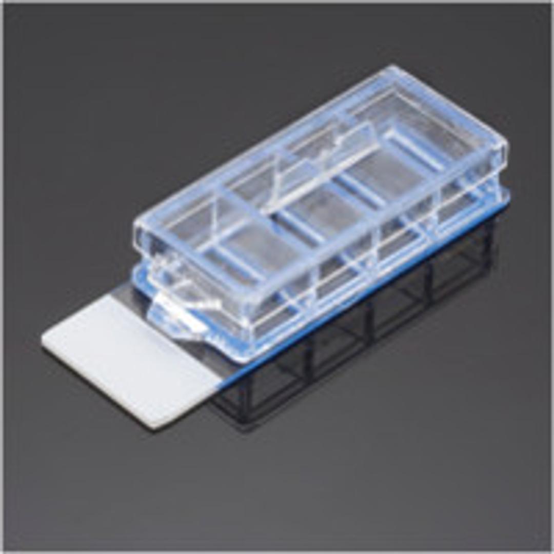 Corning® BioCoat™ Poly-D-Lysine 4-well Culture Slide, 3/Pack, 12/Case - Corning Life Sciences - Life Sciences