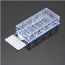 Corning® BioCoat™ Poly-D-Lysine 4-well Culture Slide, 3/Pack, 12/Case - Corning Life Sciences - Life Sciences