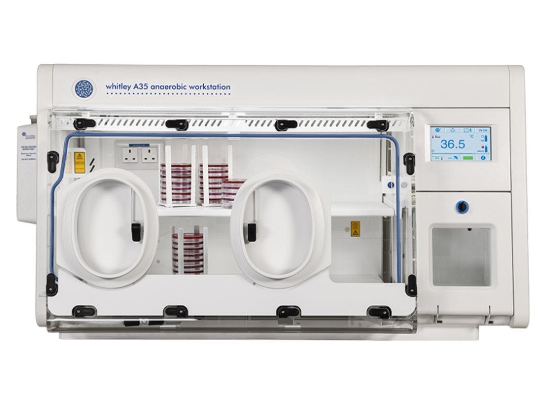 Whitley A35 Anaerobic Workstation - Don Whitley Scientific - General Lab