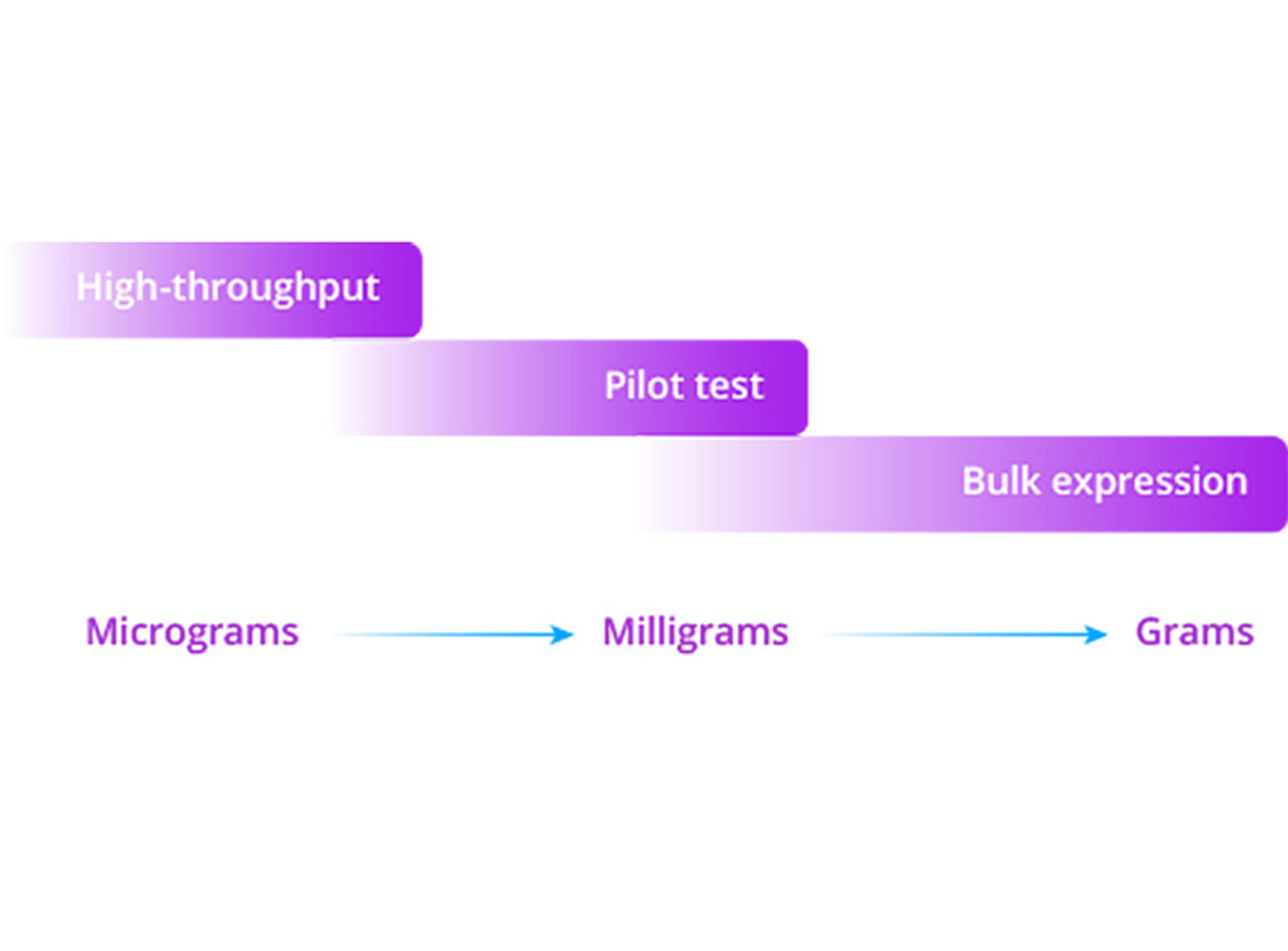 Antibody Expression Services - Absolute Antibody - Life Sciences