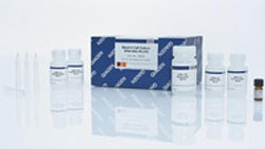 Blood & Cell Culture DNA Maxi Kit (10) - QIAGEN