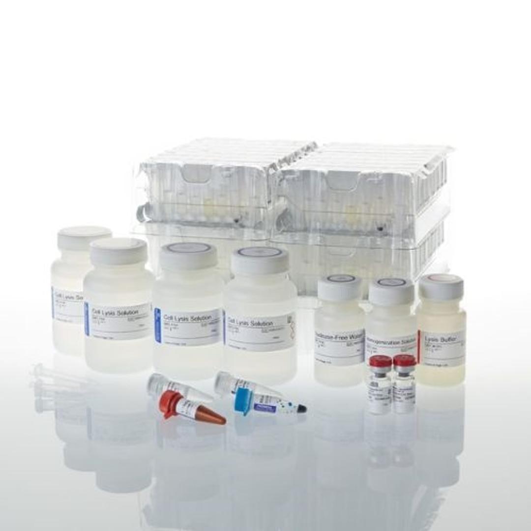Maxwell® 16 LEV simplyRNA Purification Kits - Promega Corp. - Life Sciences