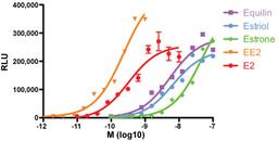 LightSwitch™ Promoter Reporter GoClone™ Collection - Active Motif - Life Sciences
