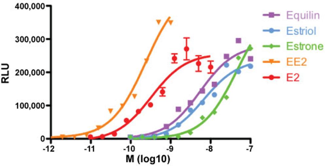 LightSwitch™ Promoter Reporter GoClone™ Collection - Active Motif - Life Sciences