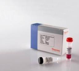 Thermo Scientific Verso 1-Step RT-PCR Kits - Thermo Fisher Scientific - Life Sciences
