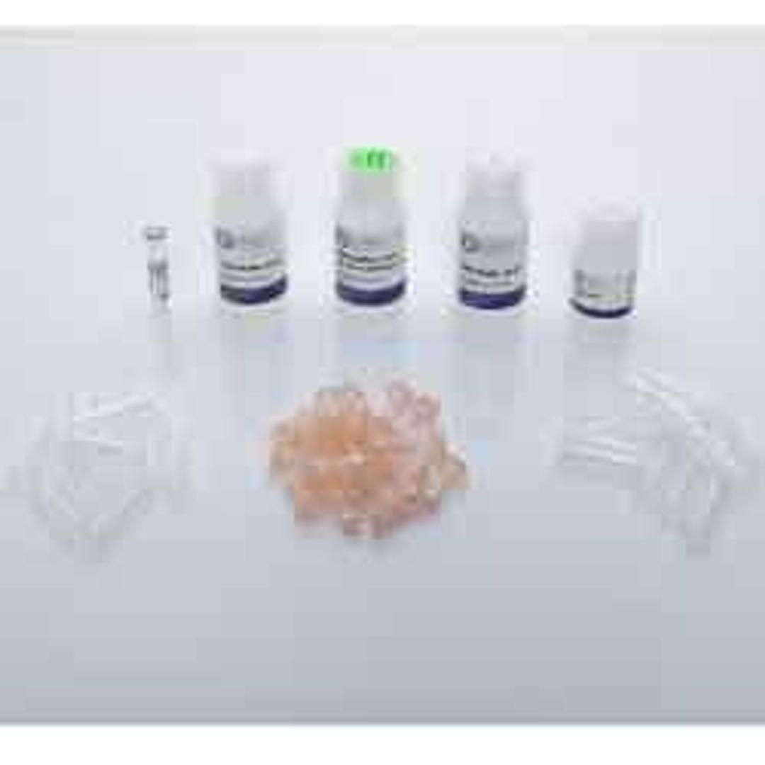 Bacteria RNA Kit - OMNI International Inc. - Life Sciences