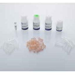 Bacteria RNA Kit - OMNI International Inc. - Life Sciences