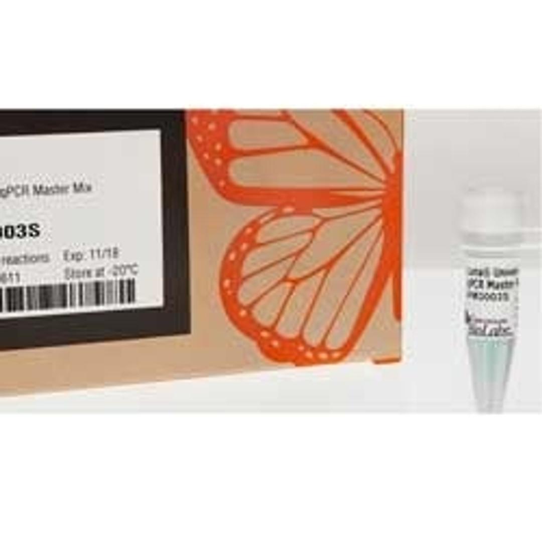 Luna® Universal qPCR Master Mix - New England Biolabs Inc. - Life Sciences