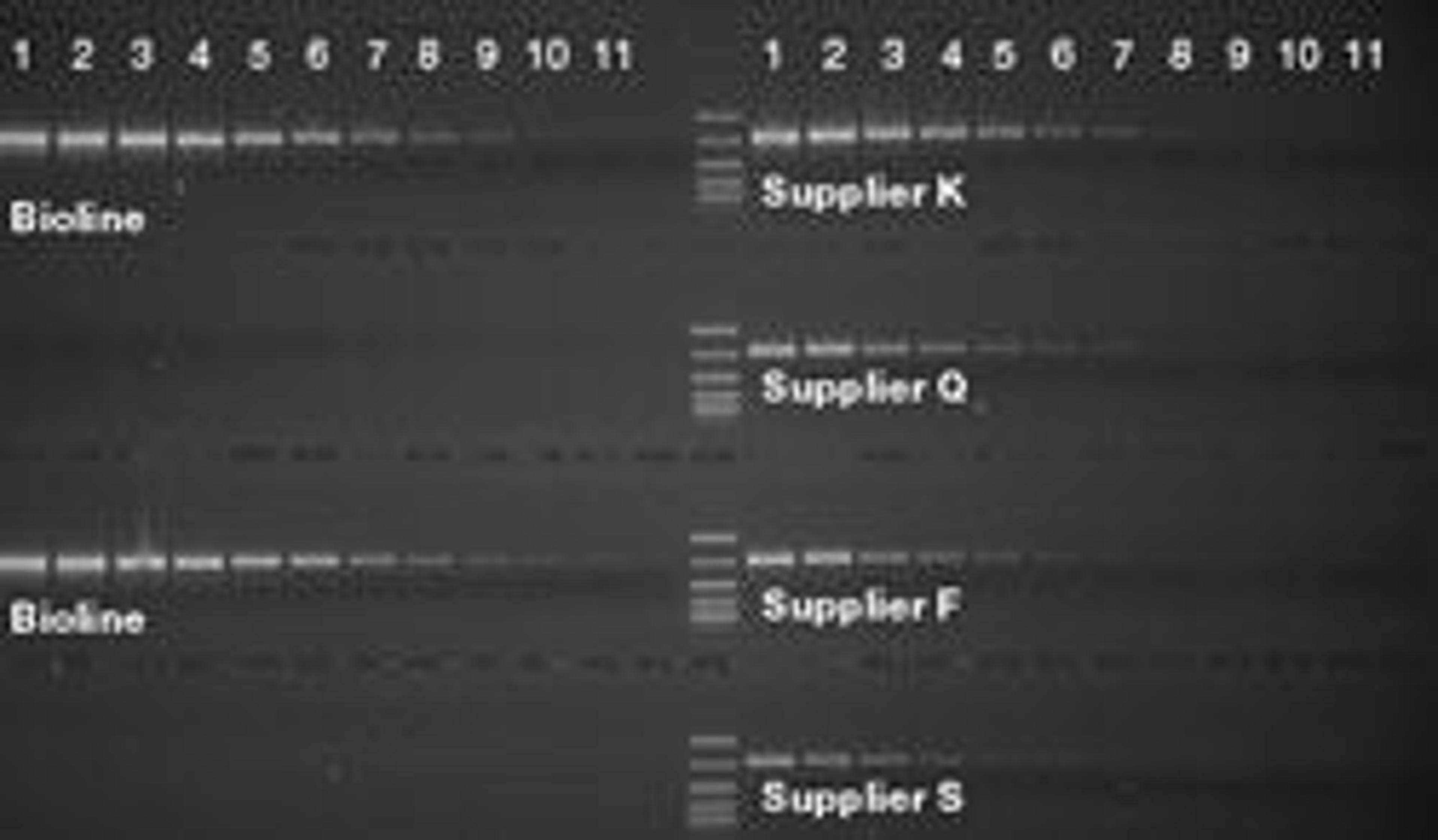 MyTaq™ Extract-PCR Kit - Meridian Bioscience Inc. - Life Sciences