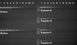 MyTaq™ Extract-PCR Kit - Meridian Bioscience Inc. - Life Sciences