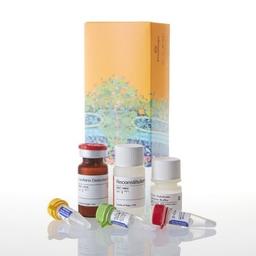 ROS-Glo™ H2O2 Assay - Promega Corp. - Life Sciences