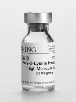 Corning® BioCoat™ Poly-D-Lysine, 20 mg - Corning Life Sciences - Life Sciences