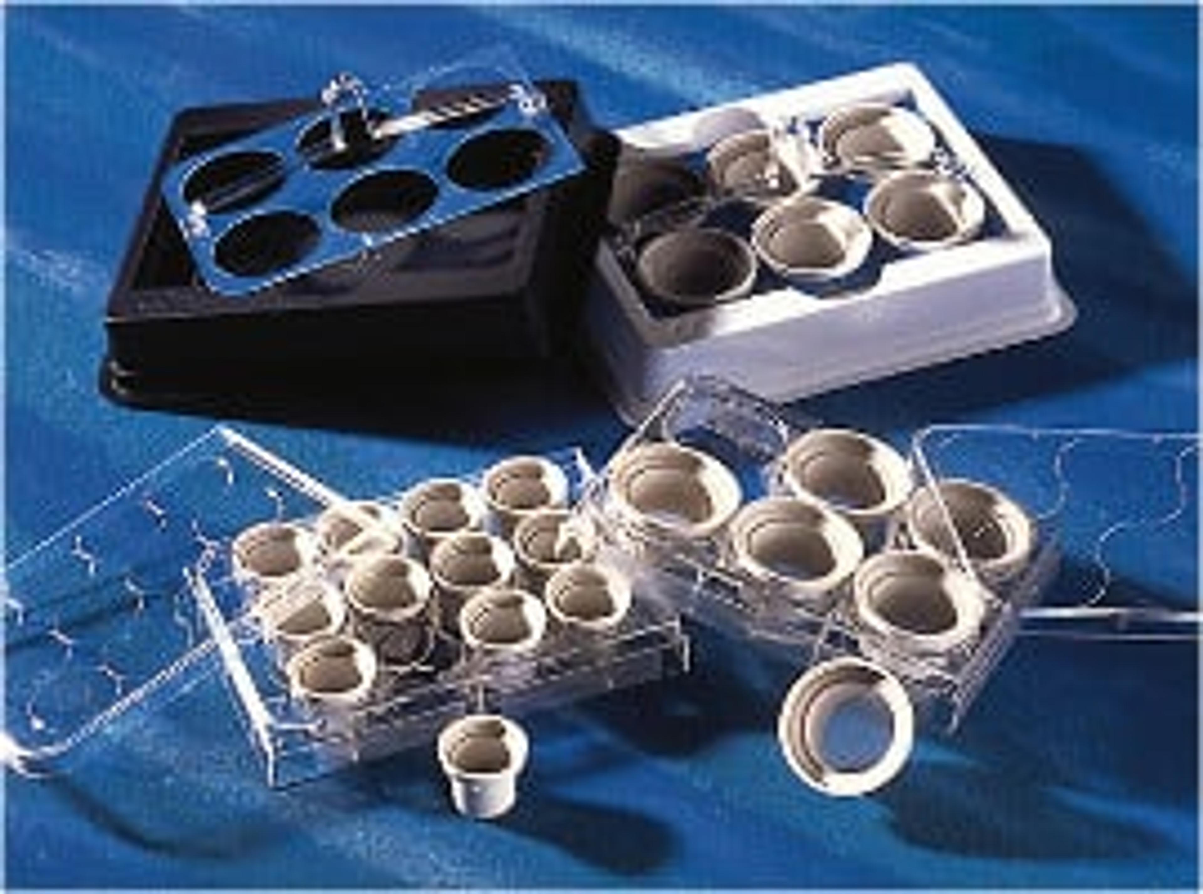 15 mm Netwell™ Insert with 74 µm Mesh Size Polyester Membrane, Sterile - Corning Life Sciences - Life Sciences