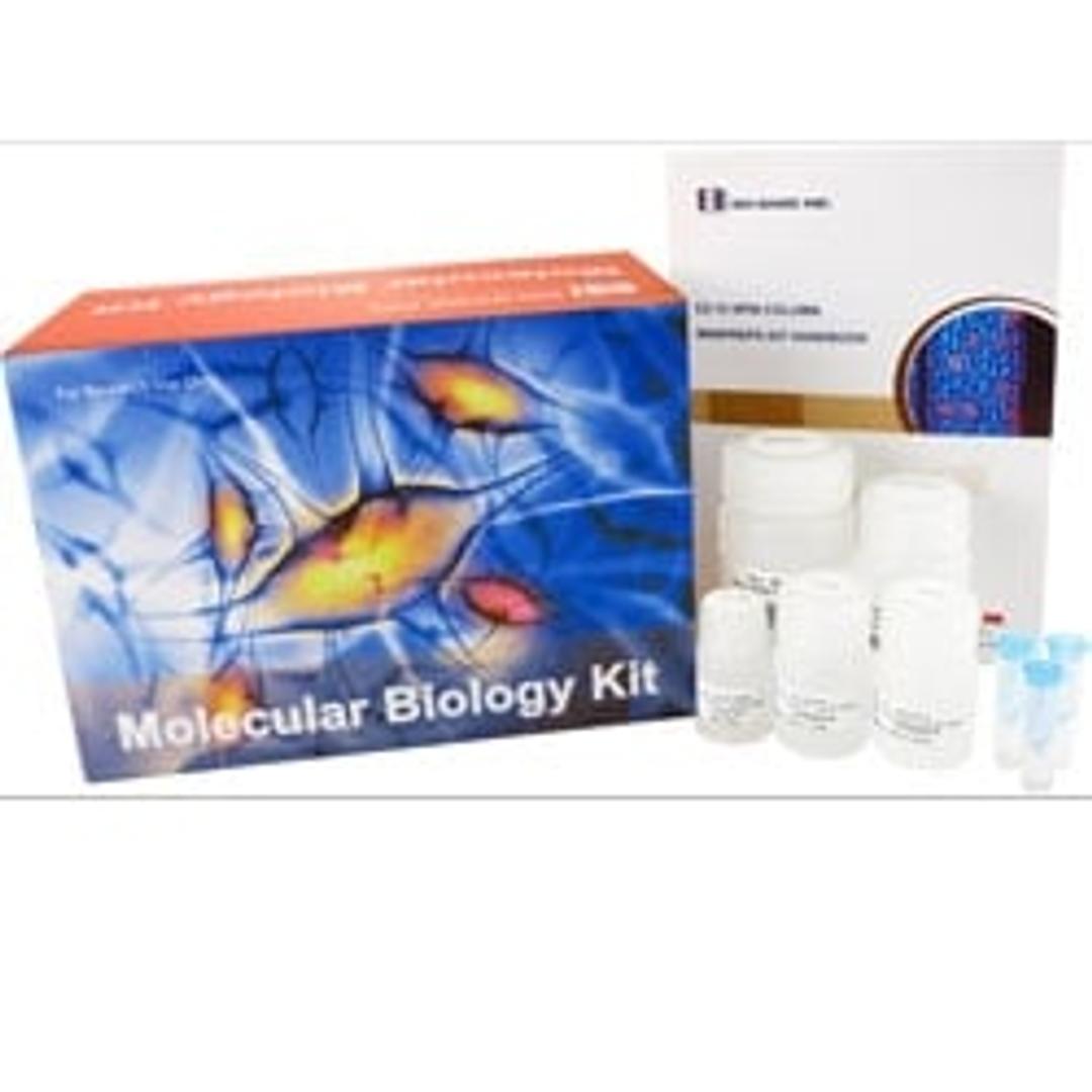 9K Series Plasmid DNA Extraction Maxiprep Kit - BioBasic - Life Sciences