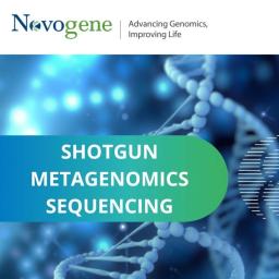 Shotgun metagenomics sequencing - Novogene - Life Sciences