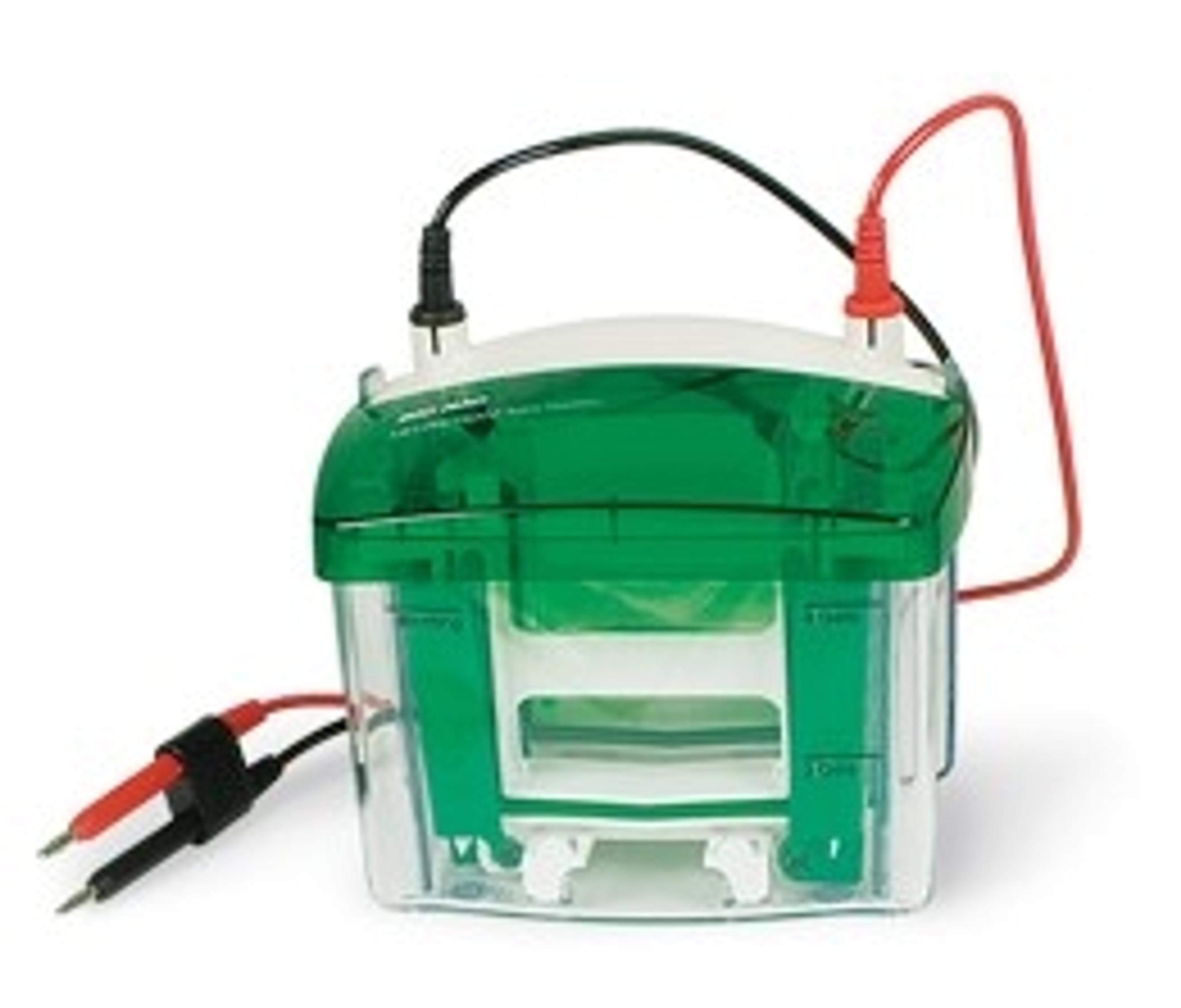 Mini-PROTEAN® Tetra vertical electrophoresis cell - Bio-Rad - Life Sciences