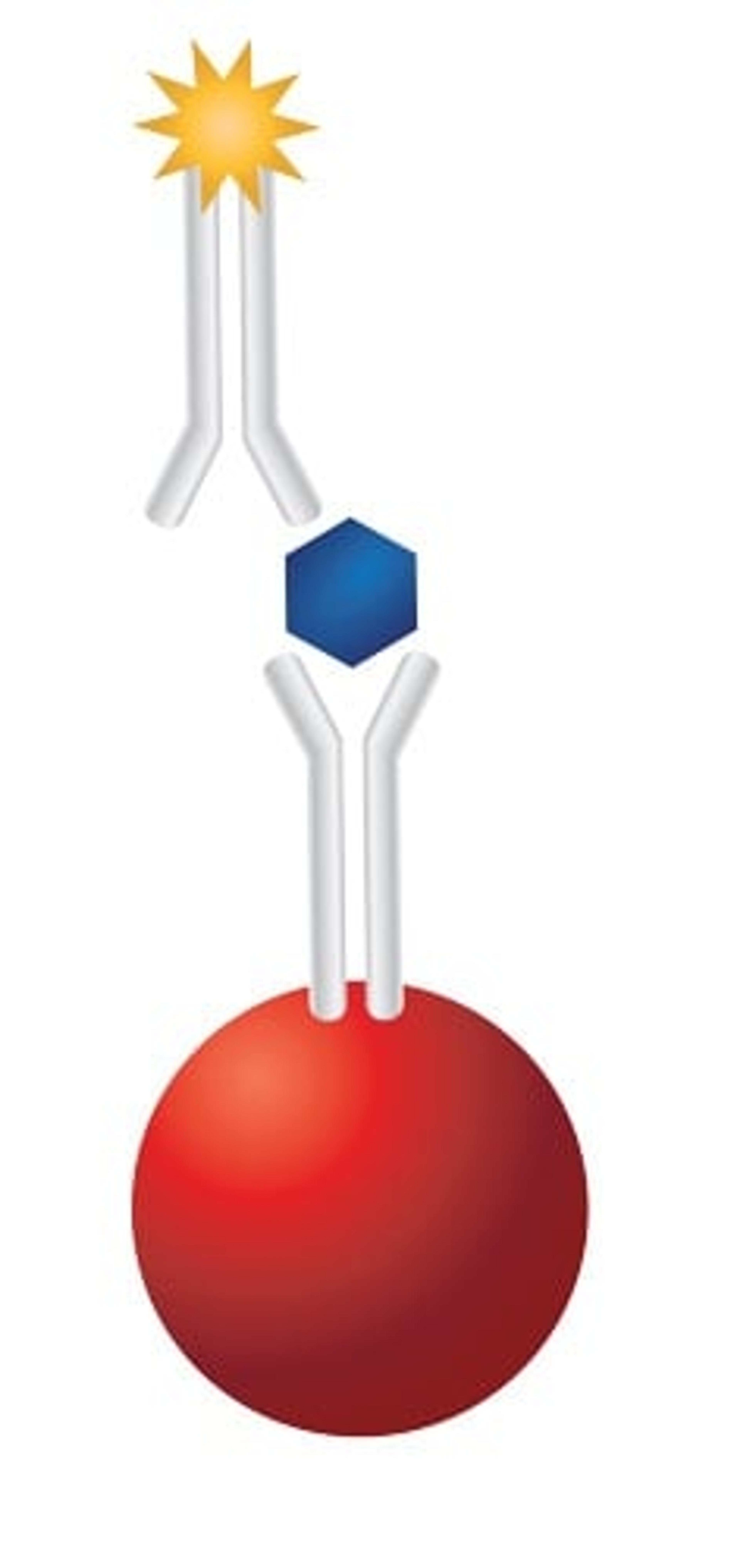MagPlex-Avidin® Multiplexing Microspheres - Luminex - Life Sciences
