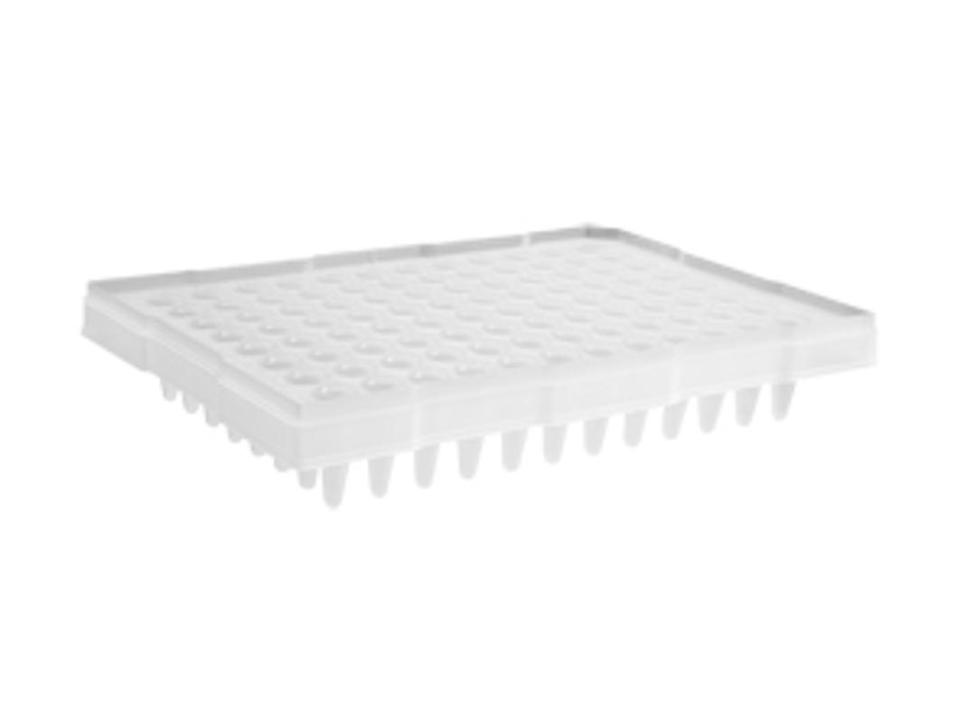 Axygen® 96-Well Polypropylene PCR Microplate Compatible with ABI, Semi-Skirted, Clear, Nonsterile - Corning Life Sciences - Life Sciences