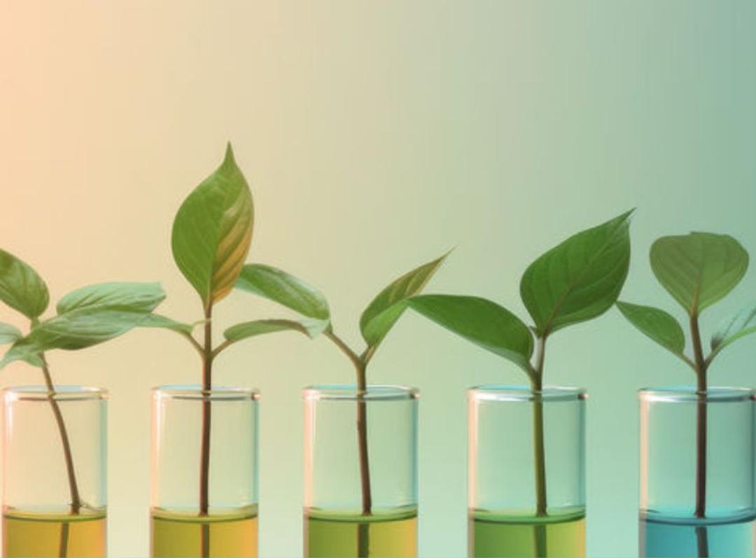 Sustainable Biological Research