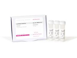 Lyo-Ready Probe Mix - PCR Biosystems - Life Sciences