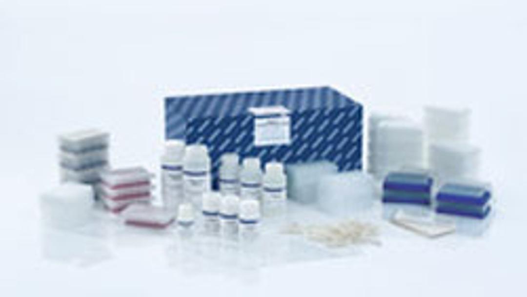 DNeasy PowerSoil HTP 96 Kit (384) - QIAGEN