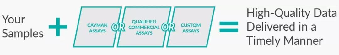 Bioanalysis & Assay Development - Cayman Chemical Co. - Life Sciences