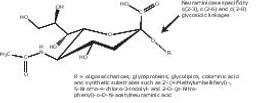 Neuraminidase from Clostridium perfringens (C. welchii) - Merck KGaA, Darmstadt, Germany