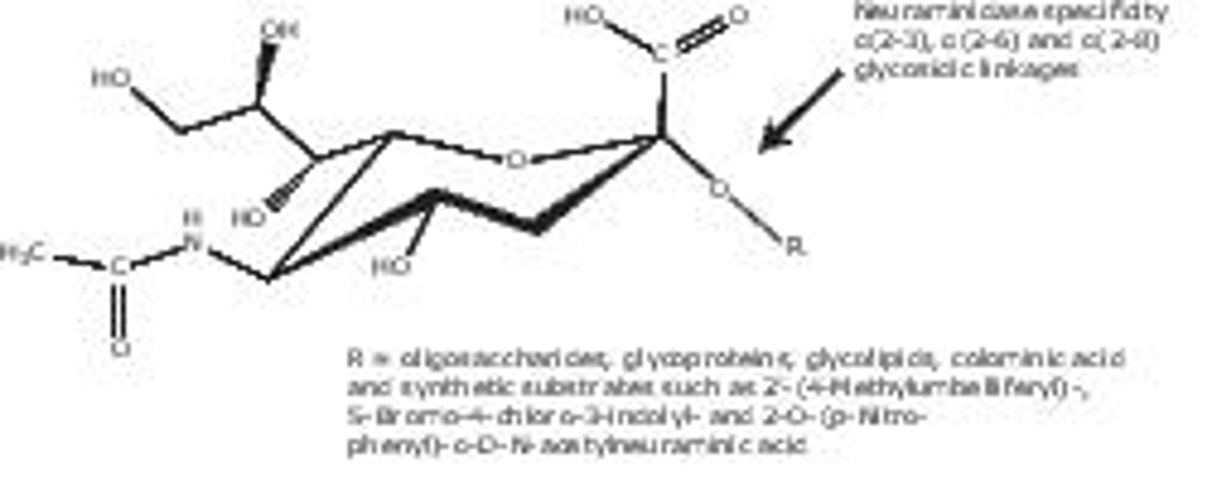 Neuraminidase from Clostridium perfringens (C. welchii) - Merck KGaA, Darmstadt, Germany