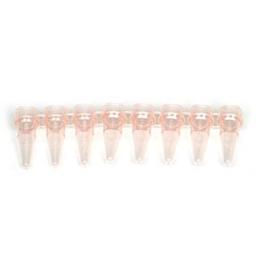 0.2 ml 8-Tube PCR Strips without Caps, high profile, pink - Bio-Rad - Life Sciences