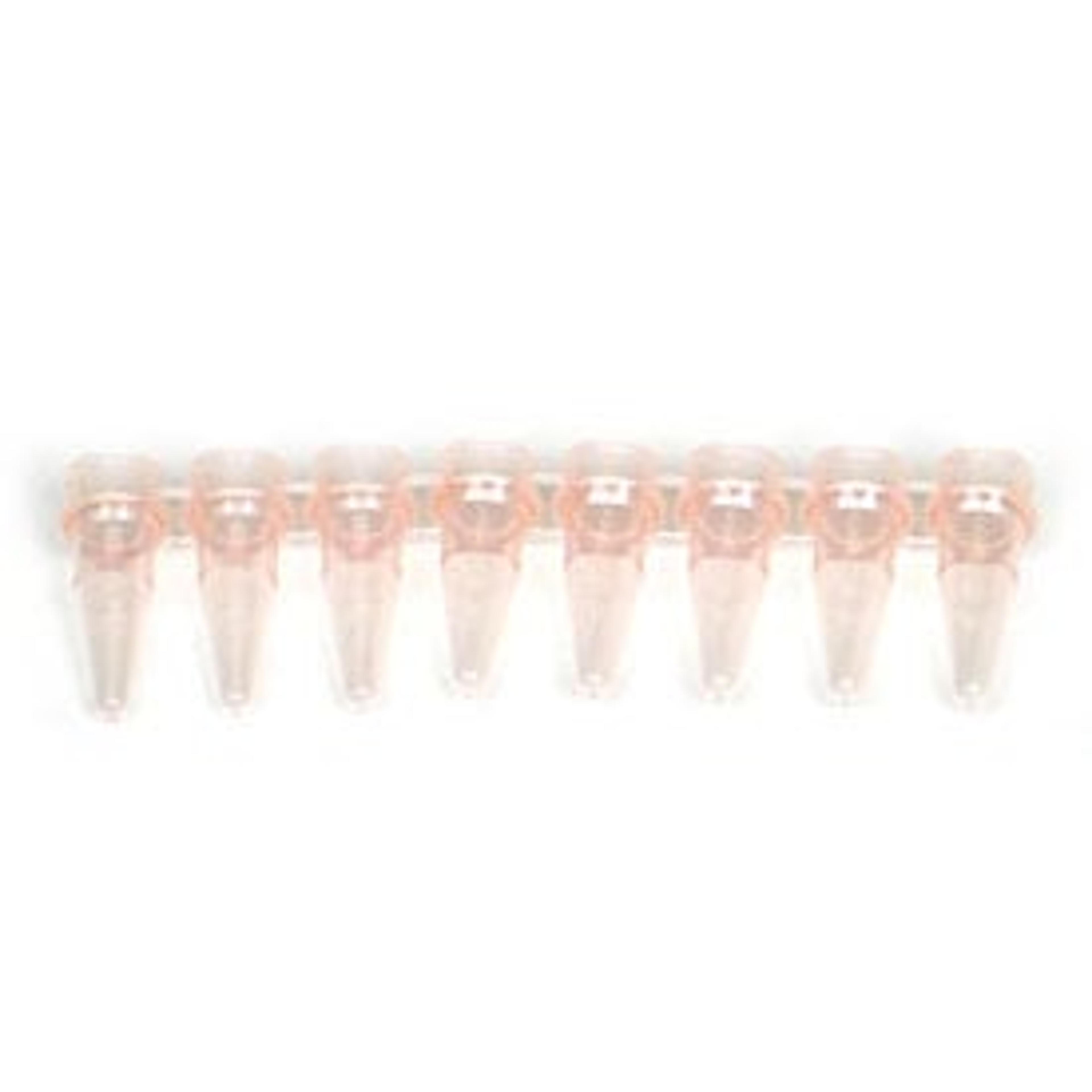 0.2 ml 8-Tube PCR Strips without Caps, high profile, pink - Bio-Rad - Life Sciences