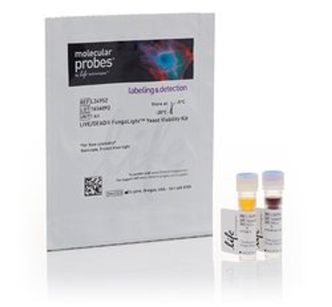 Invitrogen™ LIVE/DEAD™ FungaLight™ Yeast Viability Kit - Thermo Fisher Scientific - Life Sciences