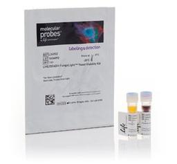 Invitrogen™ LIVE/DEAD™ FungaLight™ Yeast Viability Kit - Thermo Fisher Scientific - Life Sciences