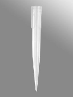 Axygen® 1000 µL Pipet Tips, Beveled, Clear, Nonsterile, Bulk Pack, 1000 Tips/Pack, 5 Packs/Case - Corning Life Sciences