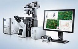 scanR - High-Content Screening Station - EVIDENT - Life Sciences