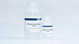 RNAprotect Bacteria Reagent - QIAGEN