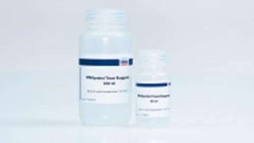 RNAprotect Bacteria Reagent - QIAGEN