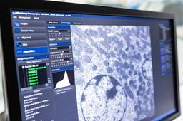 ZEISS Atlas 5 - ZEISS Research Microscopy Solutions - Life Sciences