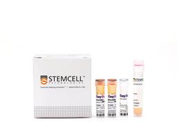 EasySep™ Mouse Memory CD4+ T Cell Isolation Kit - STEMCELL Technologies Inc. - Life Sciences