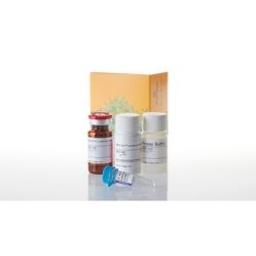 ONE-Glo + Tox Luciferase Reporter and Cell Viability Assay - Promega Corp. - Life Sciences