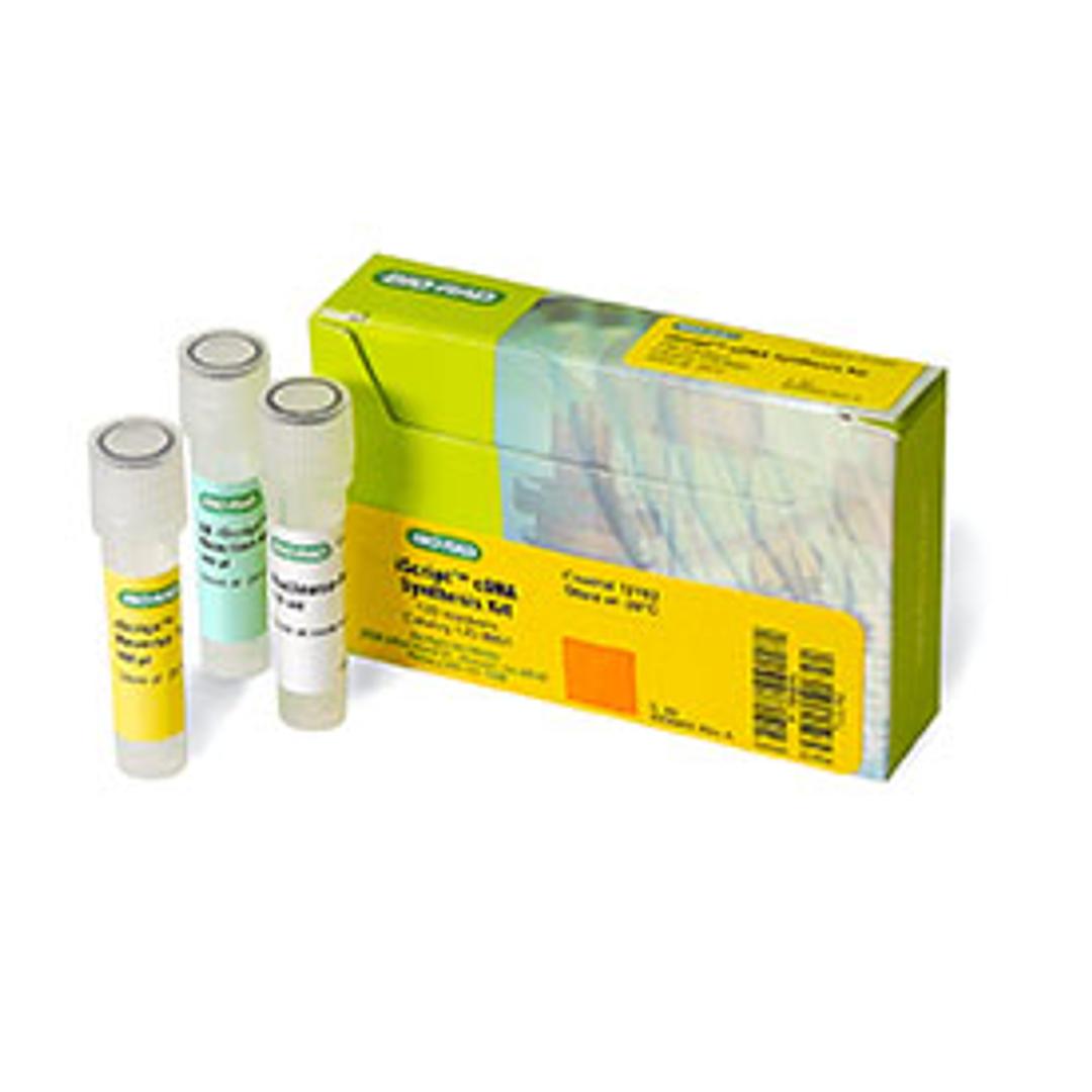 iScript™ cDNA Synthesis Kit, 25 x 20 µl rxns - Bio-Rad - Life Sciences
