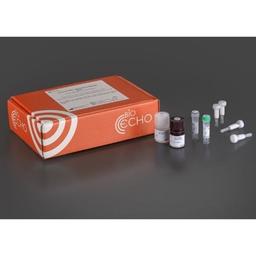 EchoLUTION Cell Culture RNA Kit - BioEcho Life Sciences GmbH - Life Sciences