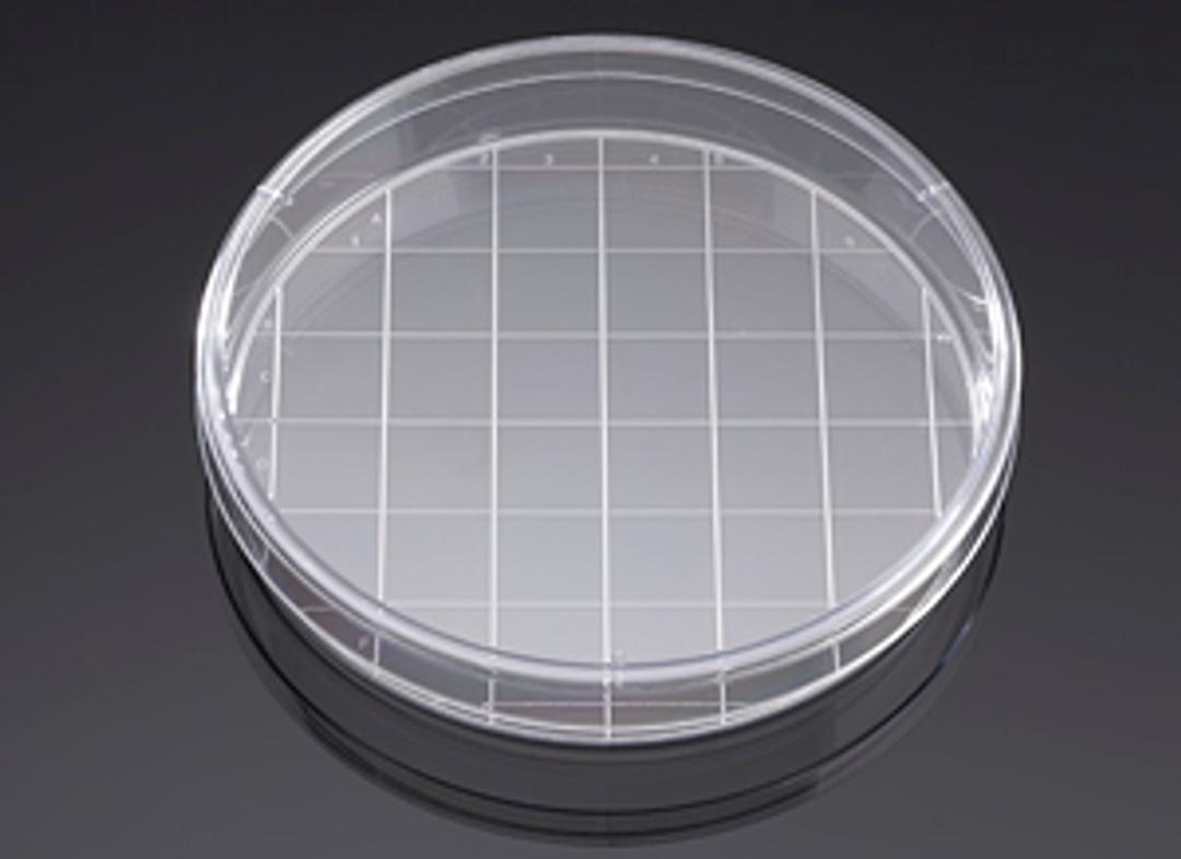 Corning® BioCoat™ Poly-D-Lysine 150 mm TC-treated Gridded Culture Dishes, 5/Pack, 5/Case - Corning Life Sciences - General Lab