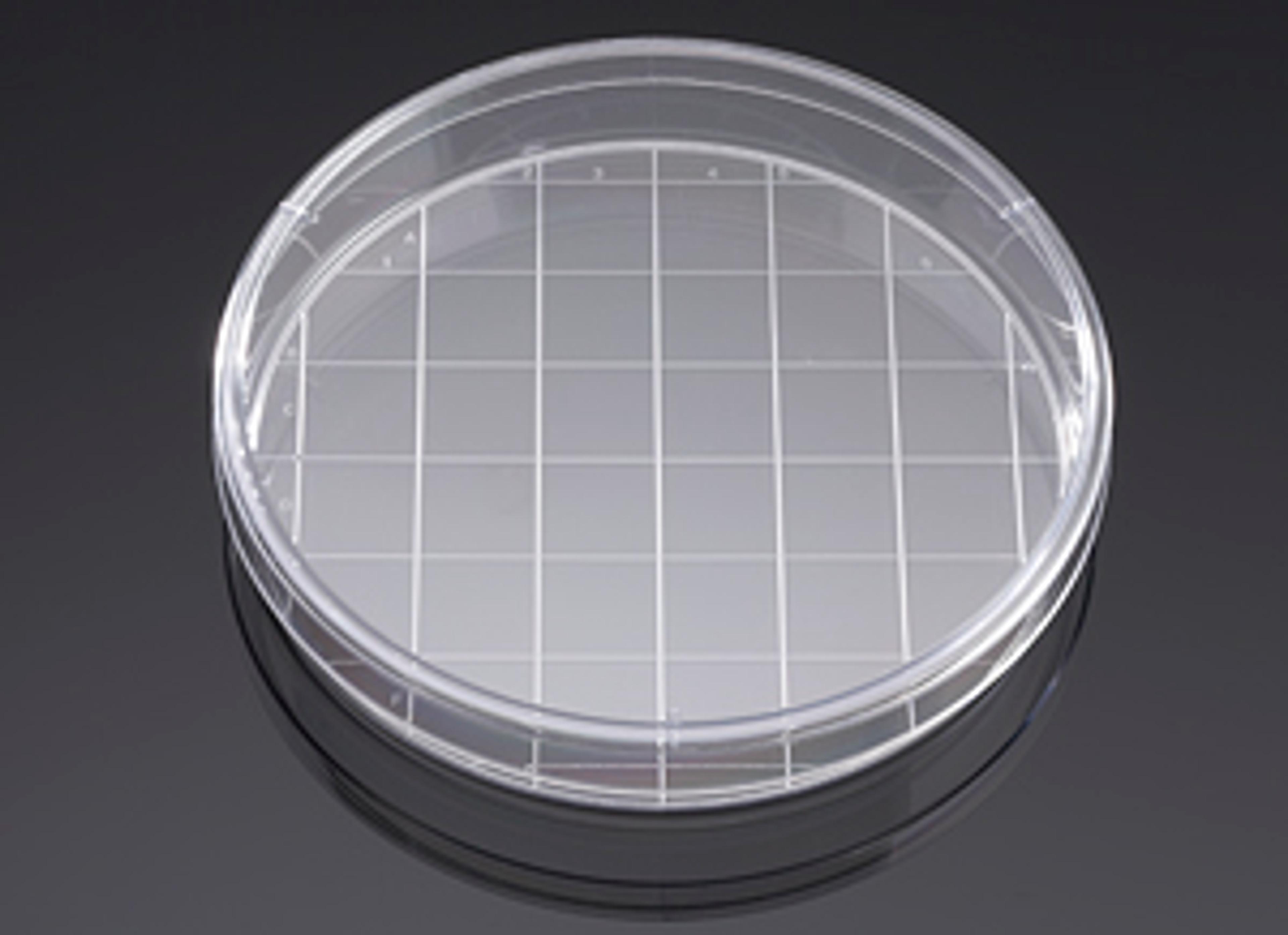Corning® BioCoat™ Poly-D-Lysine 150 mm TC-treated Gridded Culture Dishes, 5/Pack, 5/Case - Corning Life Sciences - General Lab
