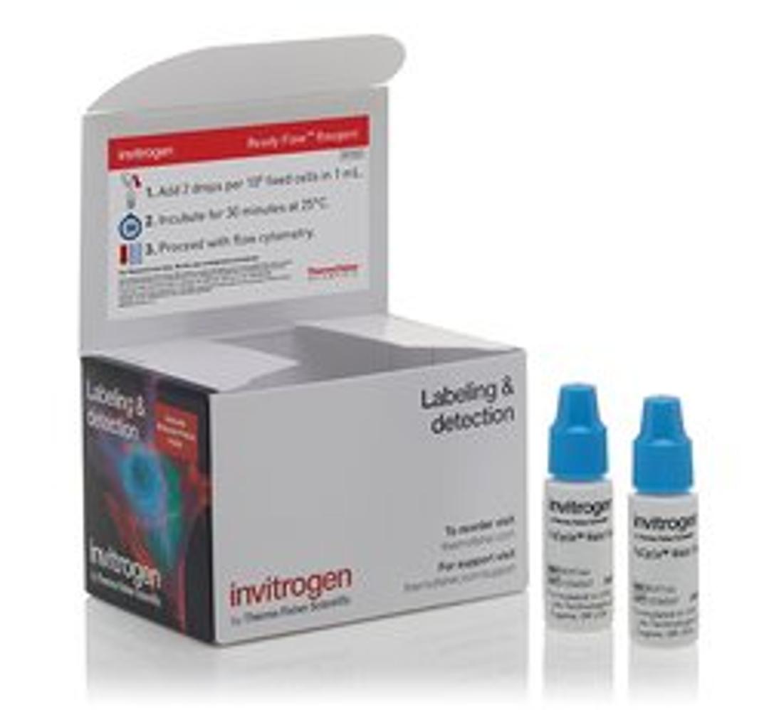 Invitrogen™ FxCycle™ Violet Ready Flow™ Reagent - Thermo Fisher Scientific - Life Sciences