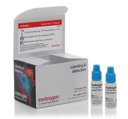 Invitrogen™ FxCycle™ Violet Ready Flow™ Reagent - Thermo Fisher Scientific - Life Sciences