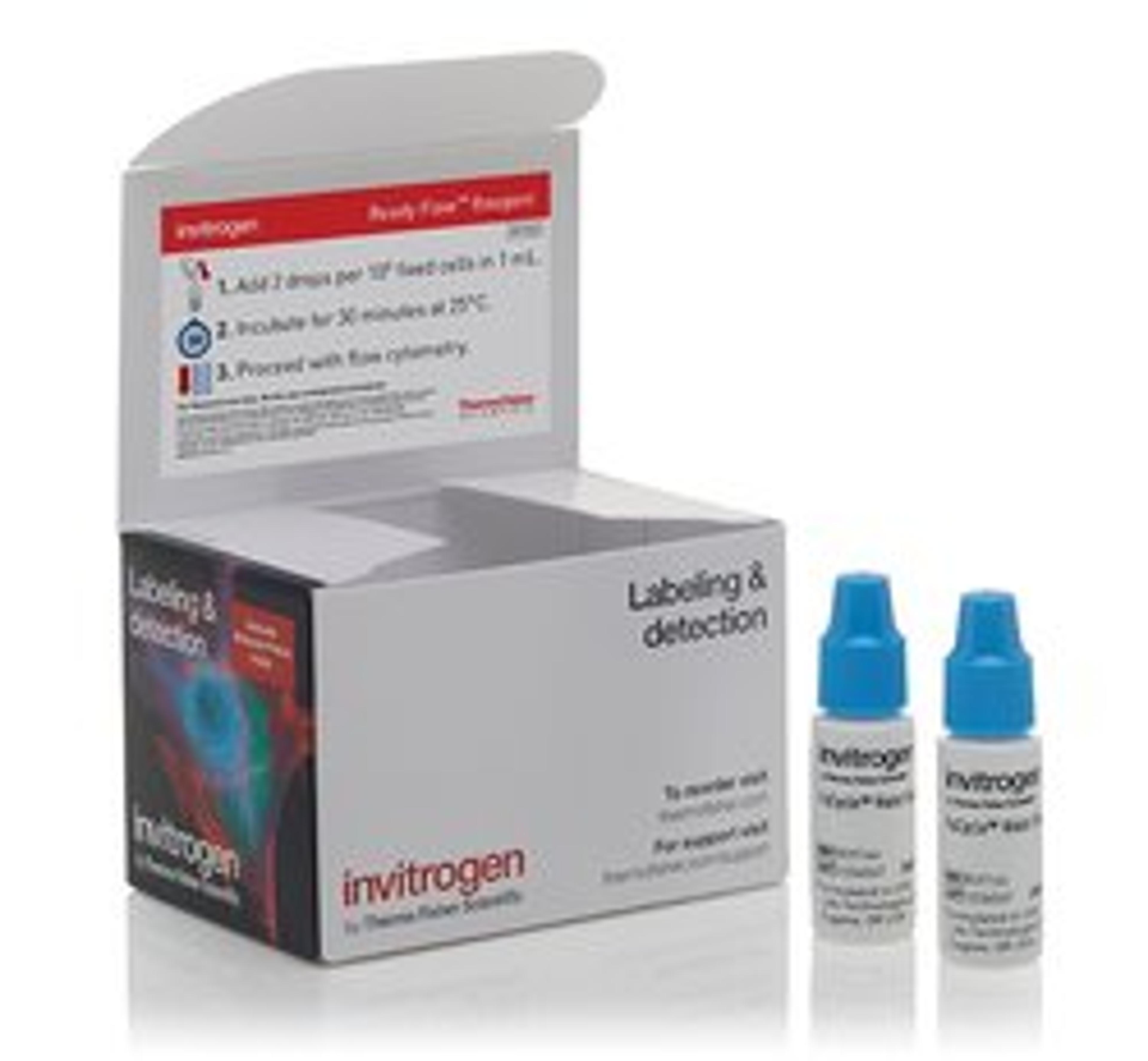 Invitrogen™ FxCycle™ Violet Ready Flow™ Reagent - Thermo Fisher Scientific - Life Sciences